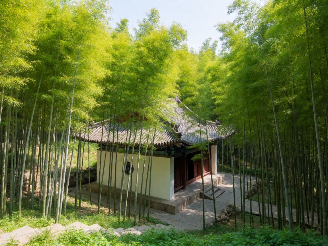 青岛崂山蔚竹庵:藏在竹海里的百年清幽,本地人私藏的避世之地